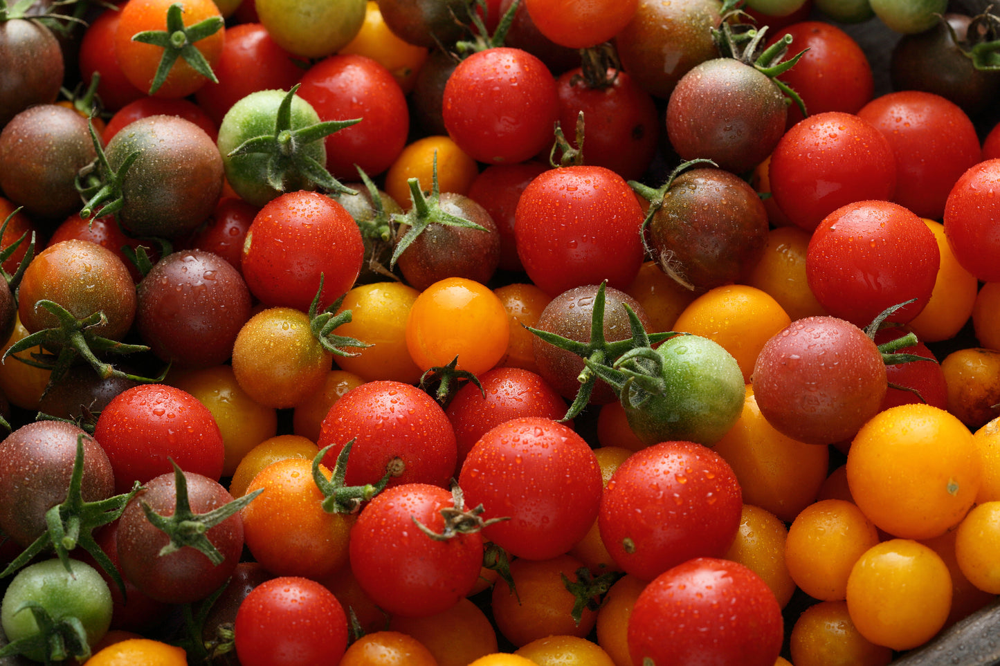 Cherry Tomatoes, Organic