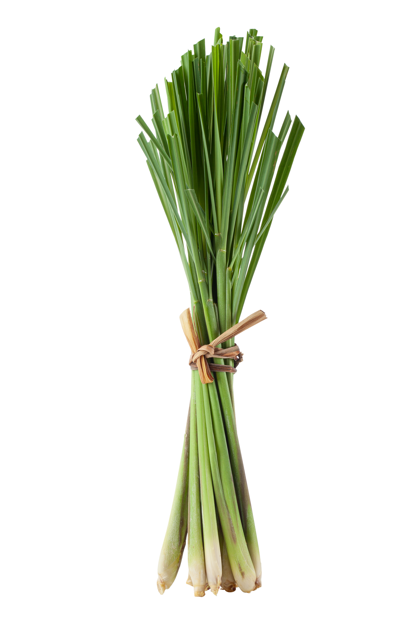 Lemongrass, Organic