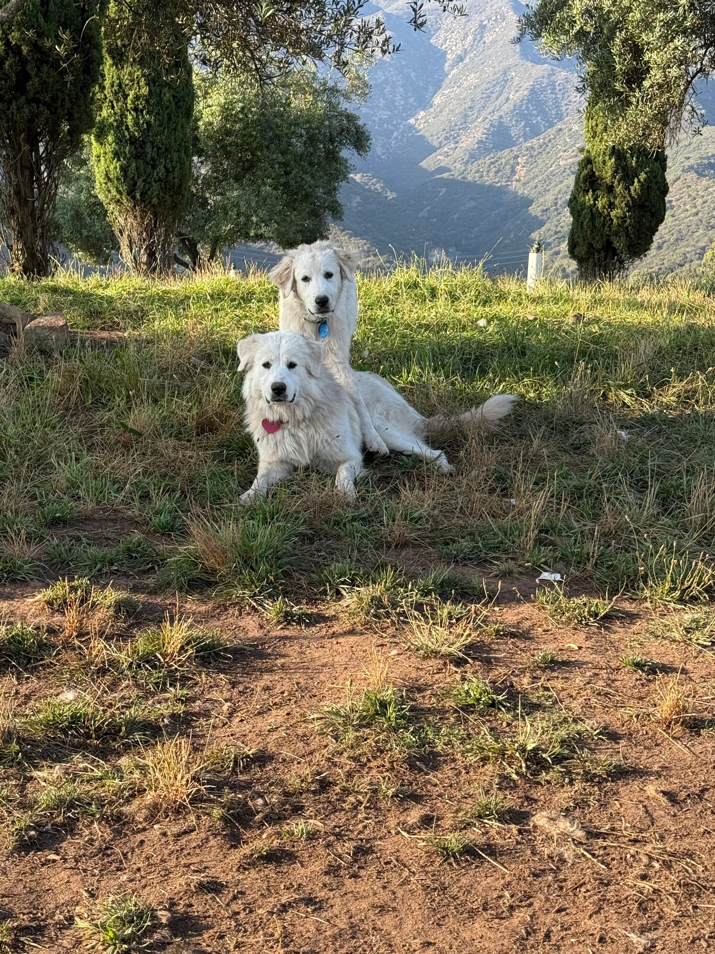 Farm Tour