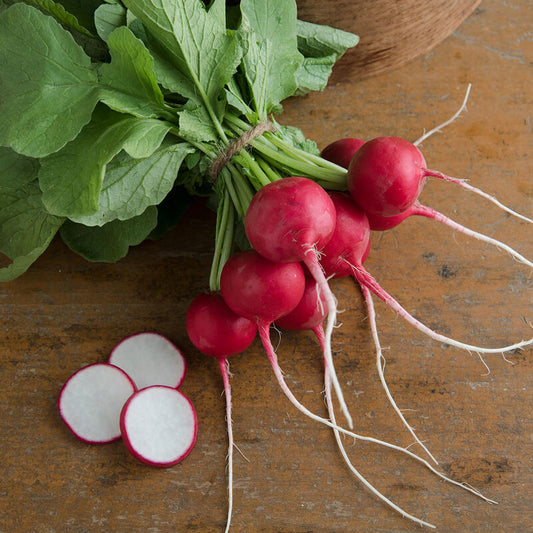 Radish, Red King - Grown Organically