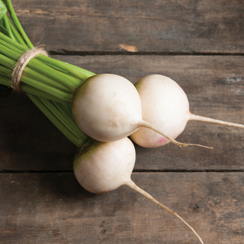 Beet, Avalanche - Grown Organically