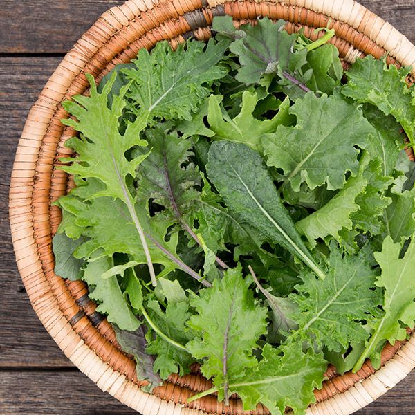 Kale, Baby Mix - Certified Organic