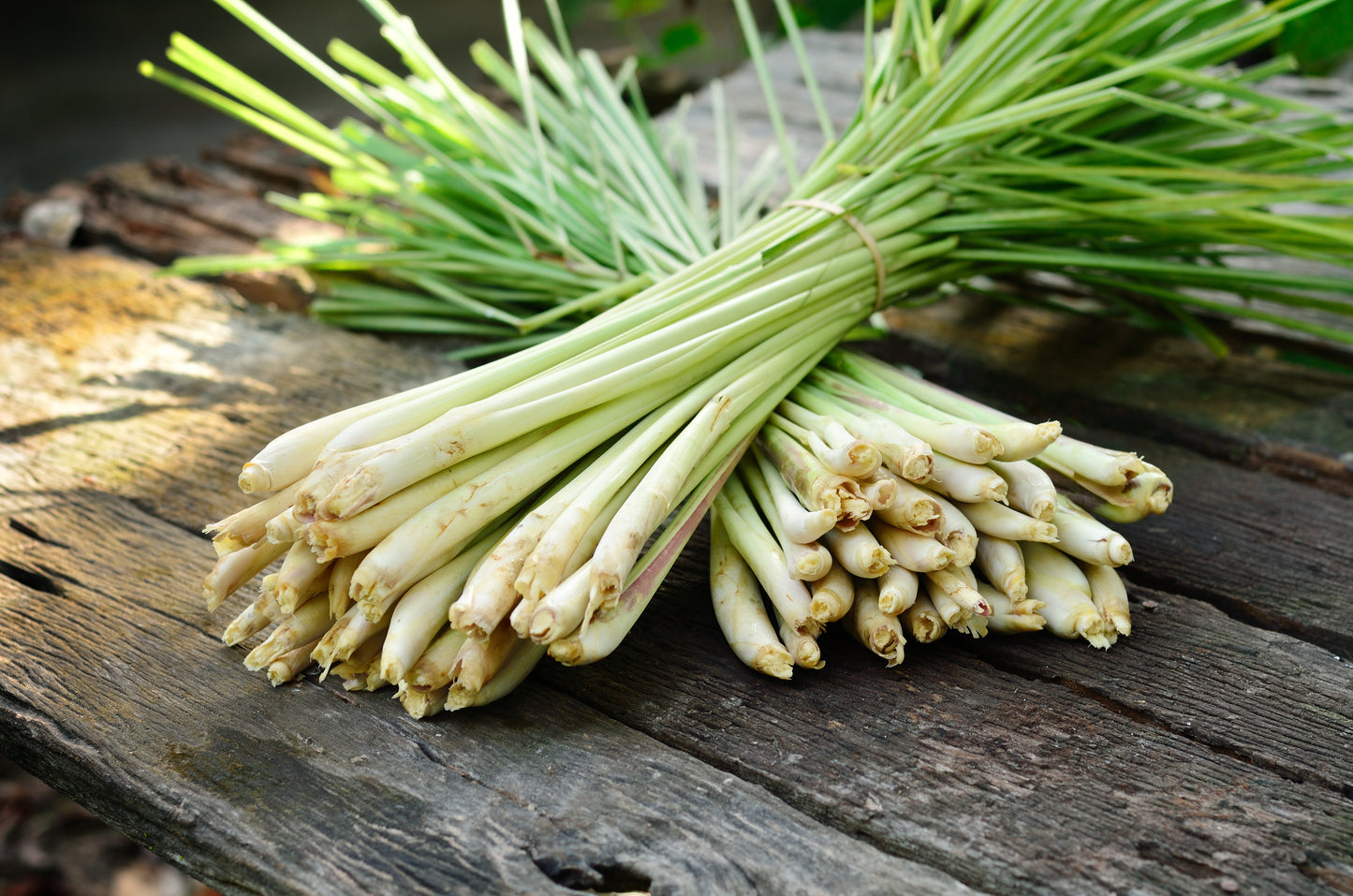 Lemongrass, Organic