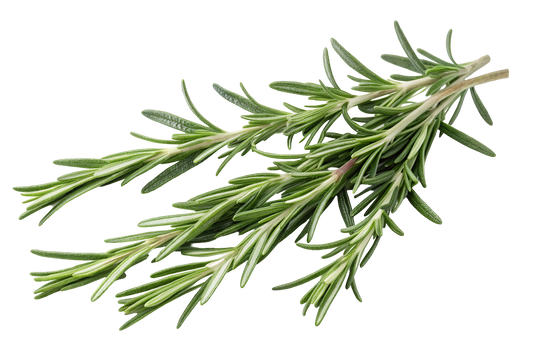 Rosemary, Certified Organic