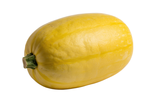 Squash, Spaghetti  - Certified Organic