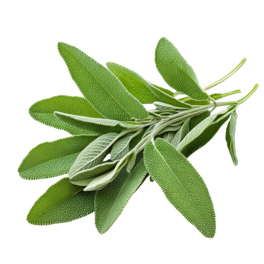 Berggarten Sage, Organic