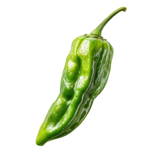 Pepper, Shishito, Certified Organic