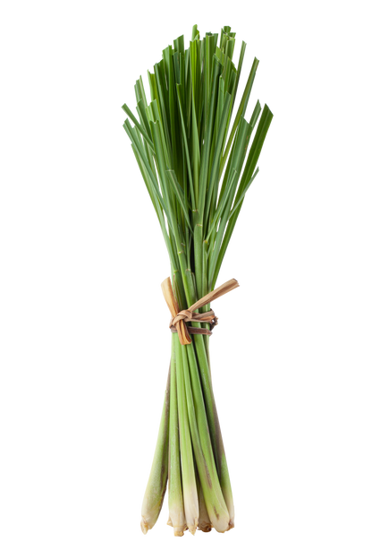 Lemongrass, Organic