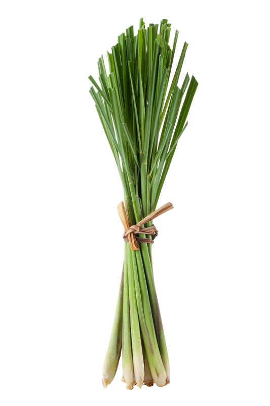 Lemongrass, Organic