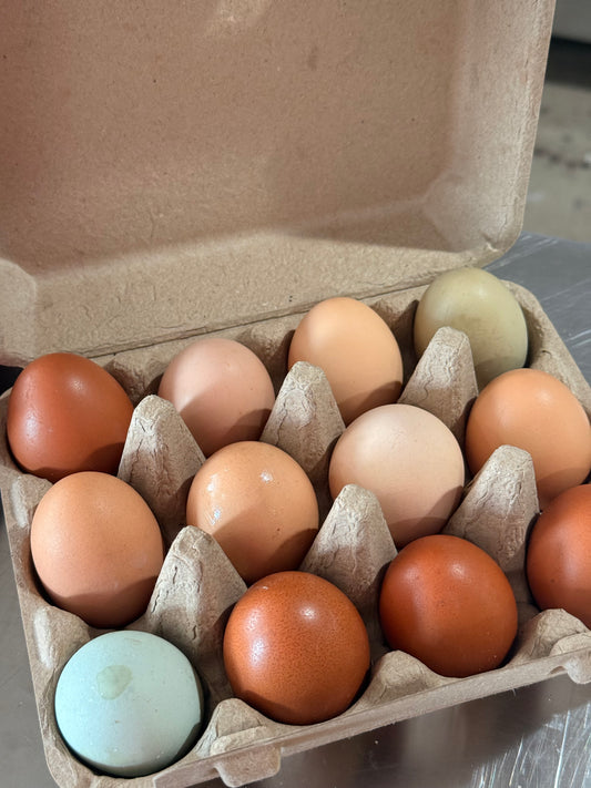 Eggs, Pasture Raised Rainbow - Certified Organic