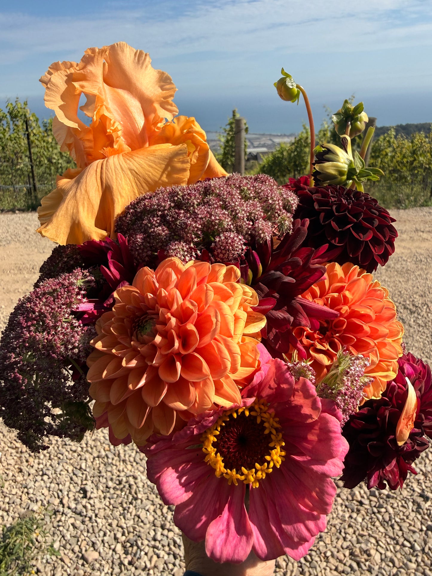 Farm Fresh Bouquet