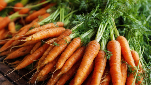 Nantes Carrots, Organic