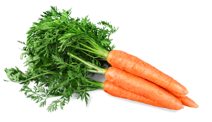 Nantes Carrots, Organic