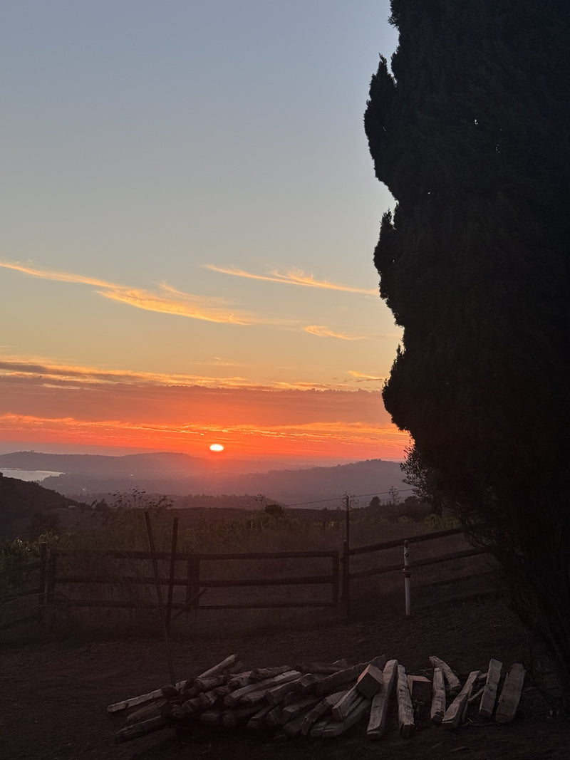 Sunset over the hills and ocean from Wanderment Farms, with a cypress tree and fence in the foreground