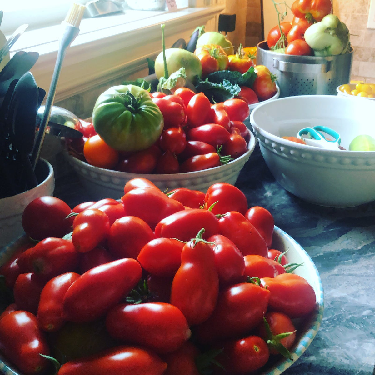 Bowls of Roma tomatoes and heirlooms on the kitchen counter