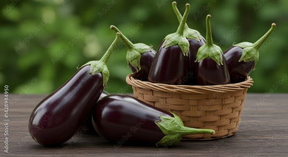 Eggplant, Black Beauty (Italian), Certified Organic