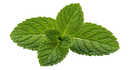 Sweet Mint, Organic