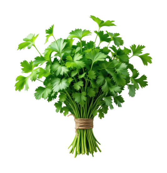 Italian Flat Leaf Parsley, Certified Organic
