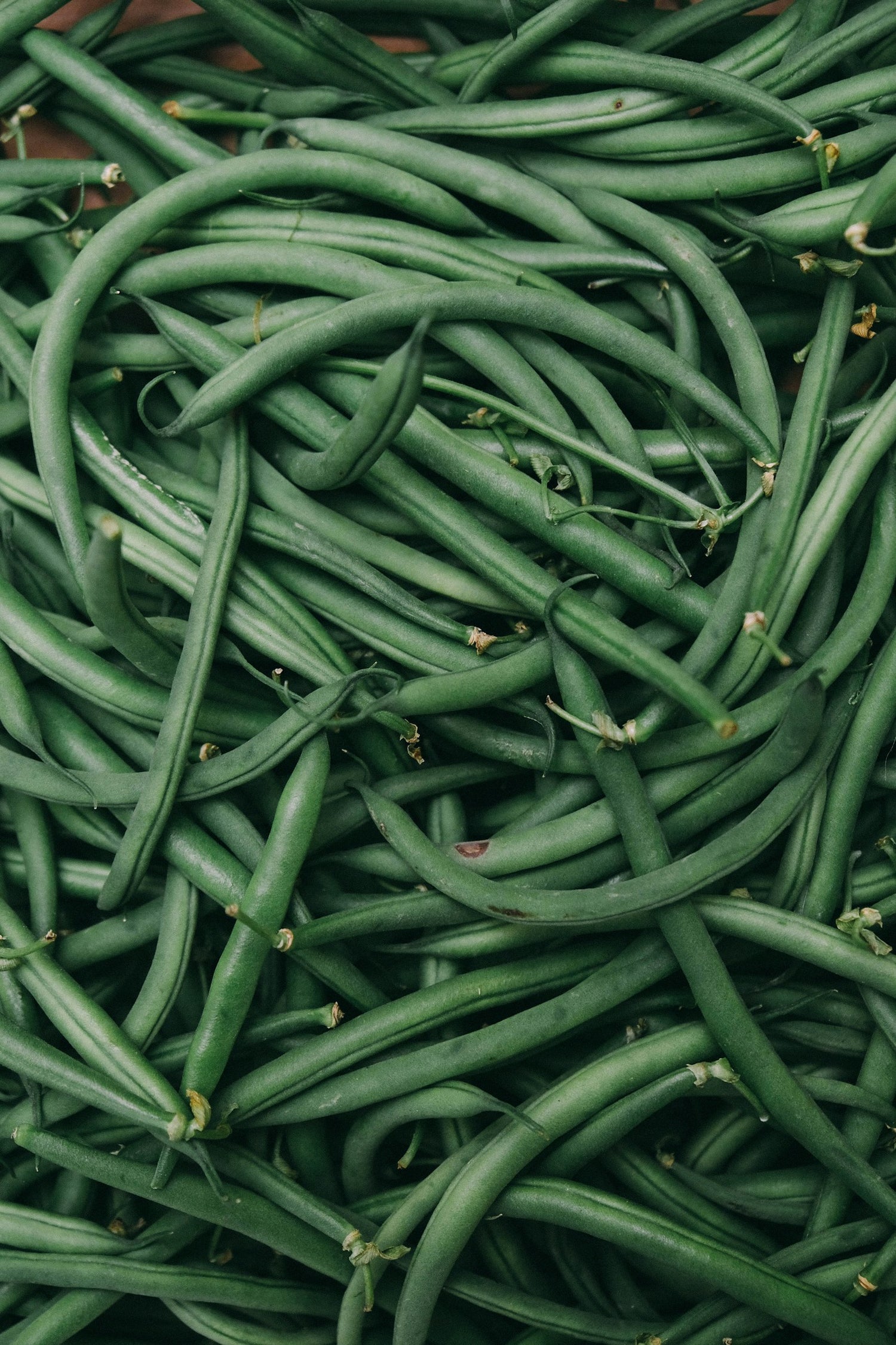 Fresh green beans