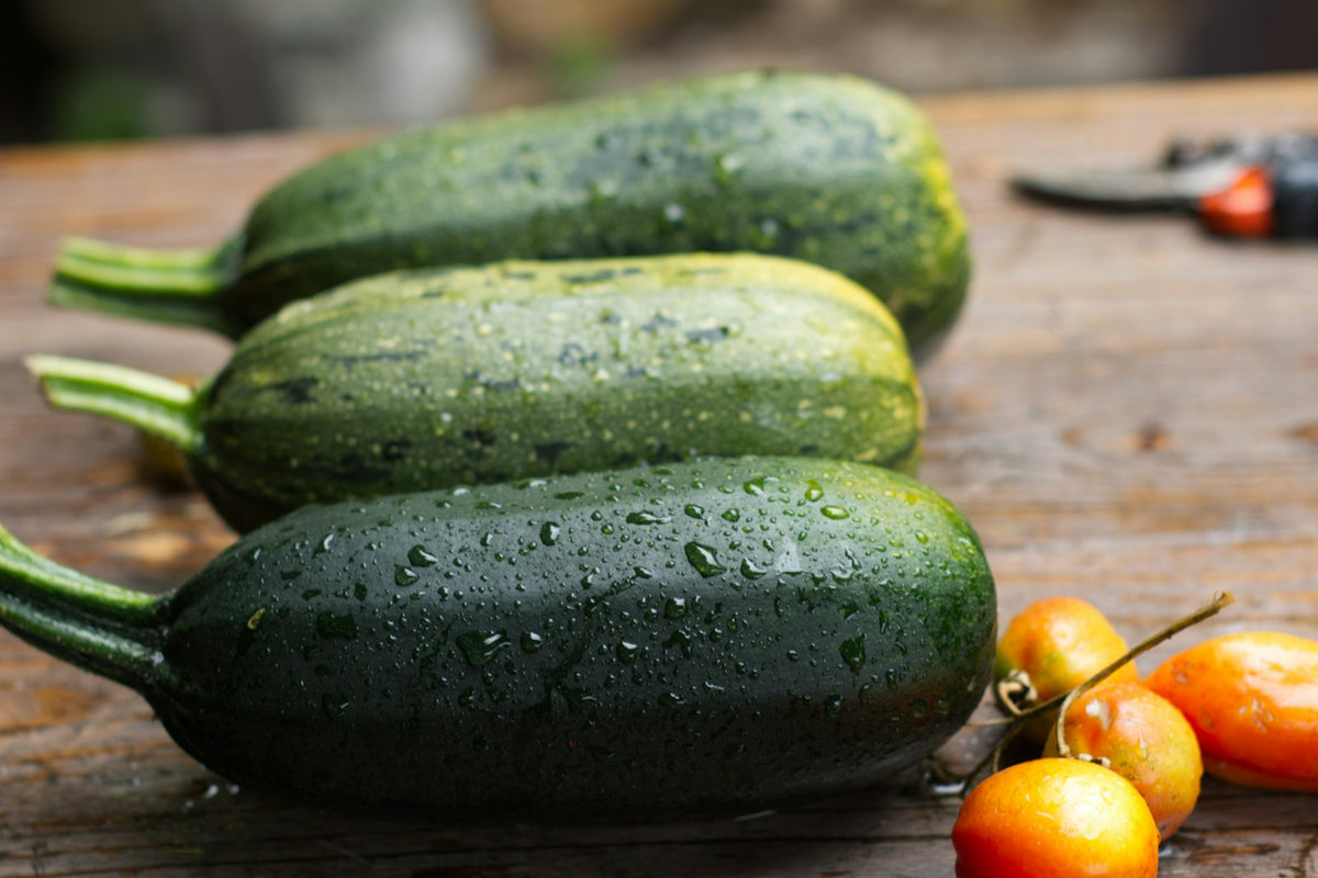Summer squash and vine tomatoes