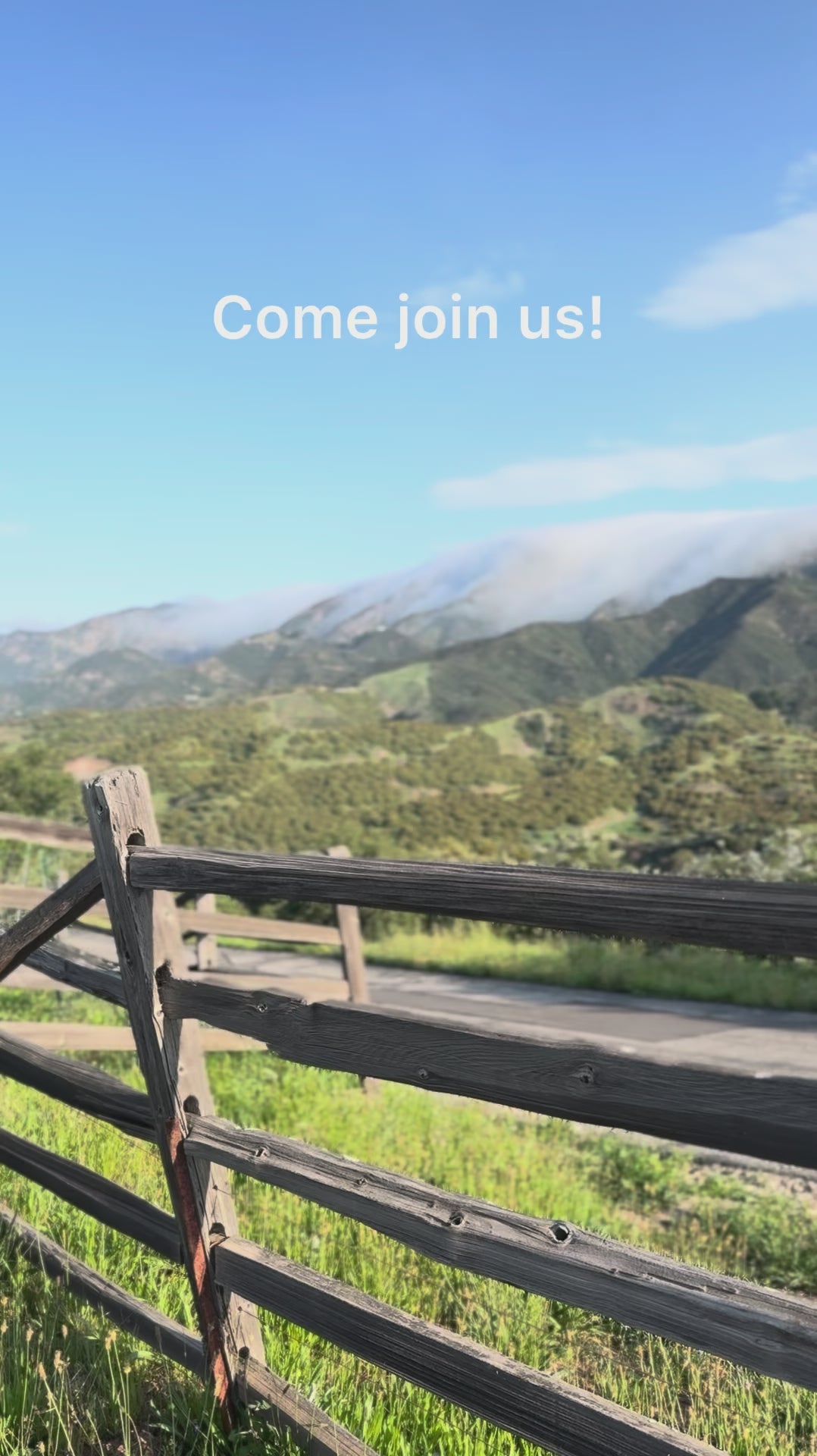 Certified Organic and Regenerative Farm Tour in Santa Barbara. Llamas, donkeys, cows, sheep, goats, horses