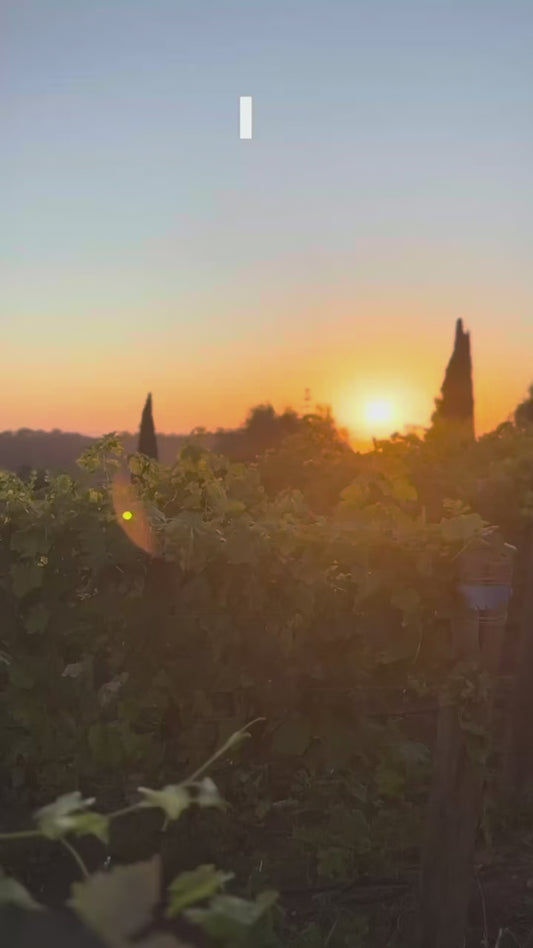 The Longest Light: Farm to Table Dinner and Tour
