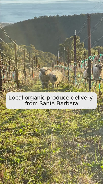 Farmer's Choice Produce Box