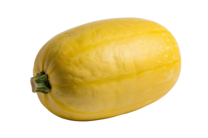 Spaghetti Squash, Organic
