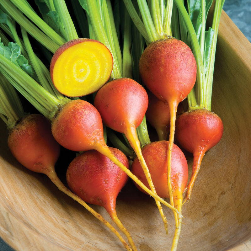 Beet, Touchstone - Grown Organically
